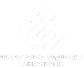 Республиканское общественное объединение 'Белорусская федерация киберспорта'
